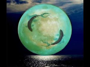 A lua em Peixes traz misticismo para a semana